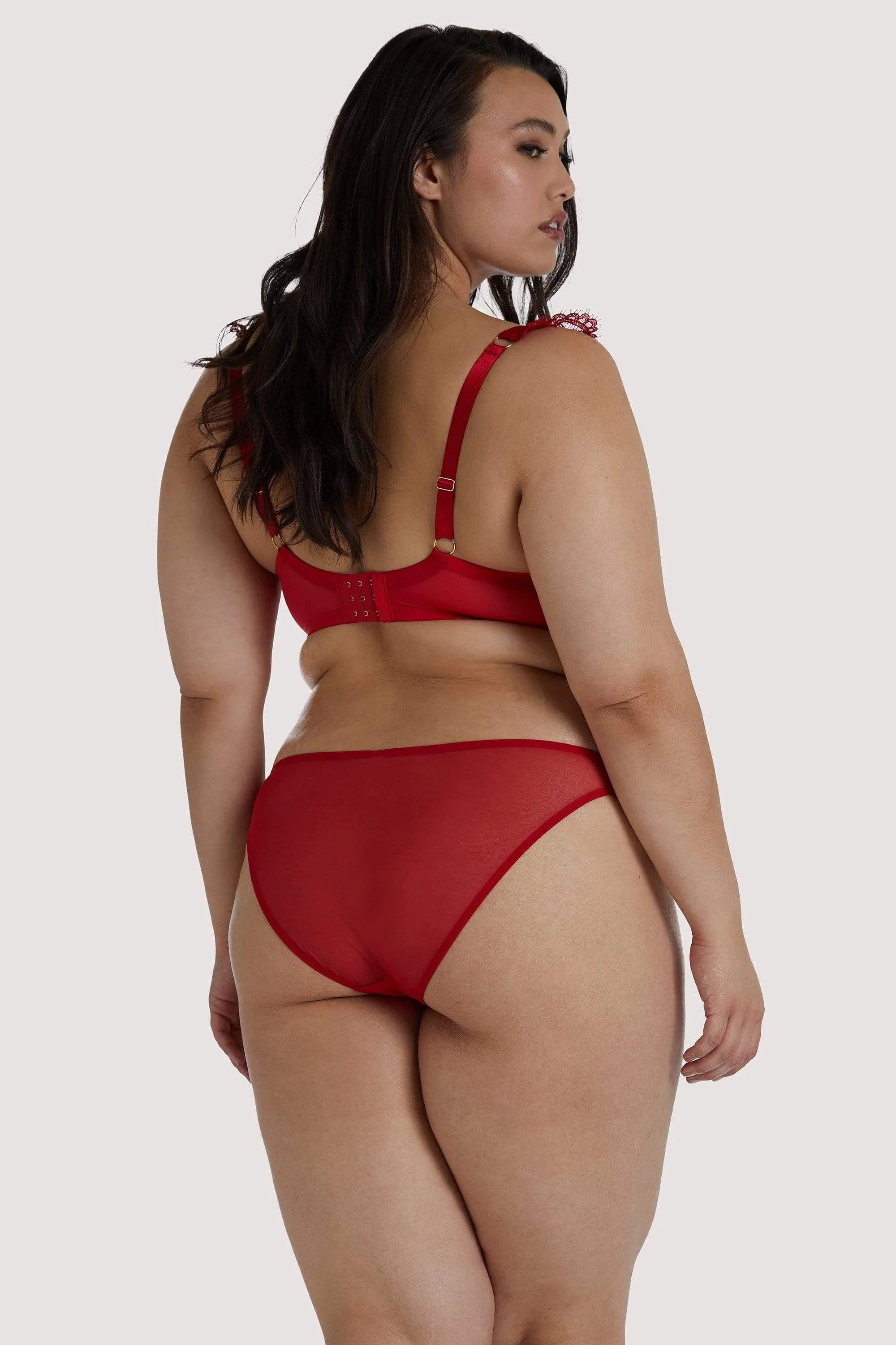Anneliese Red Satin Net and Lace Brazilian Brief