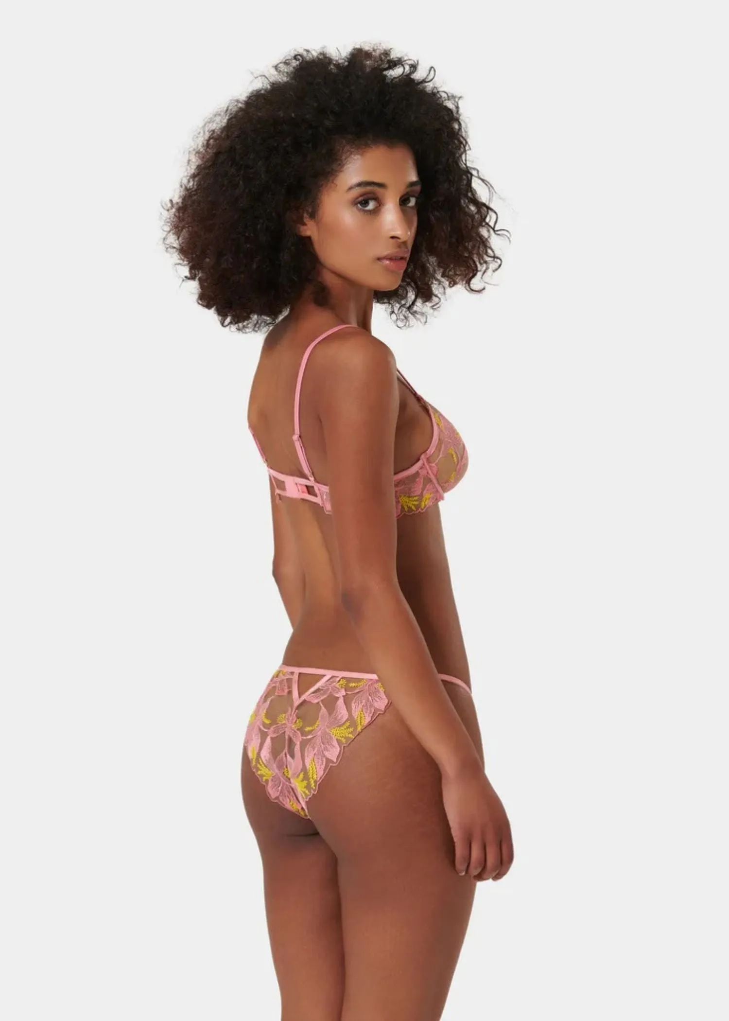 Patrice Panty (Dianthus Pink/Blazing Yellow)