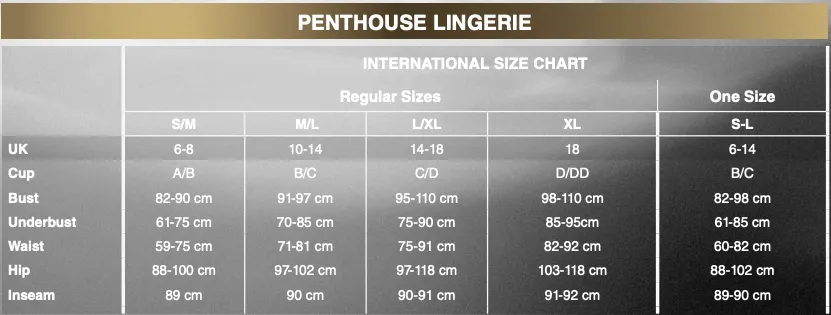Penthouse - Gangsta Babe Suspender Bodystocking Costume