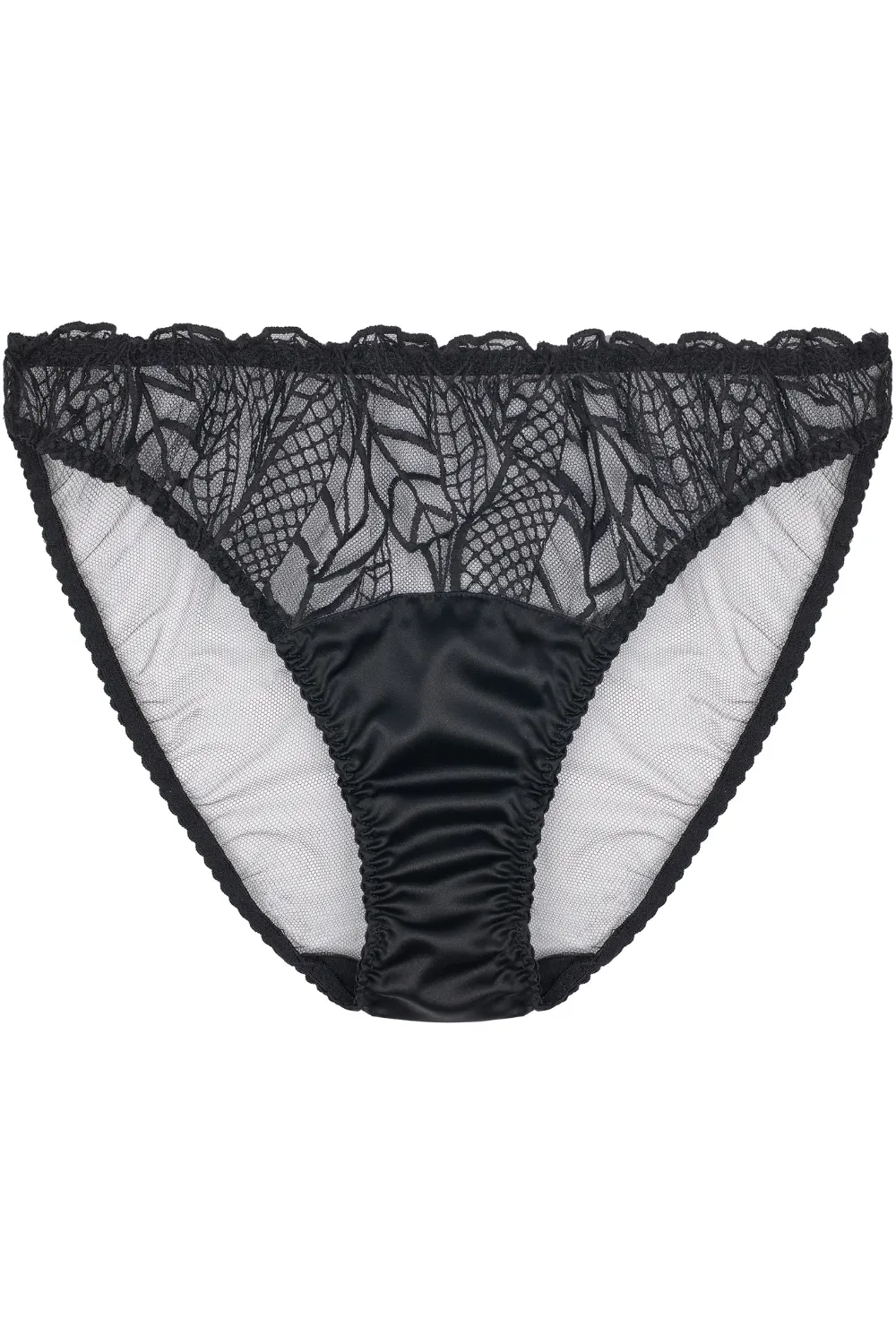 Roxy Brief
