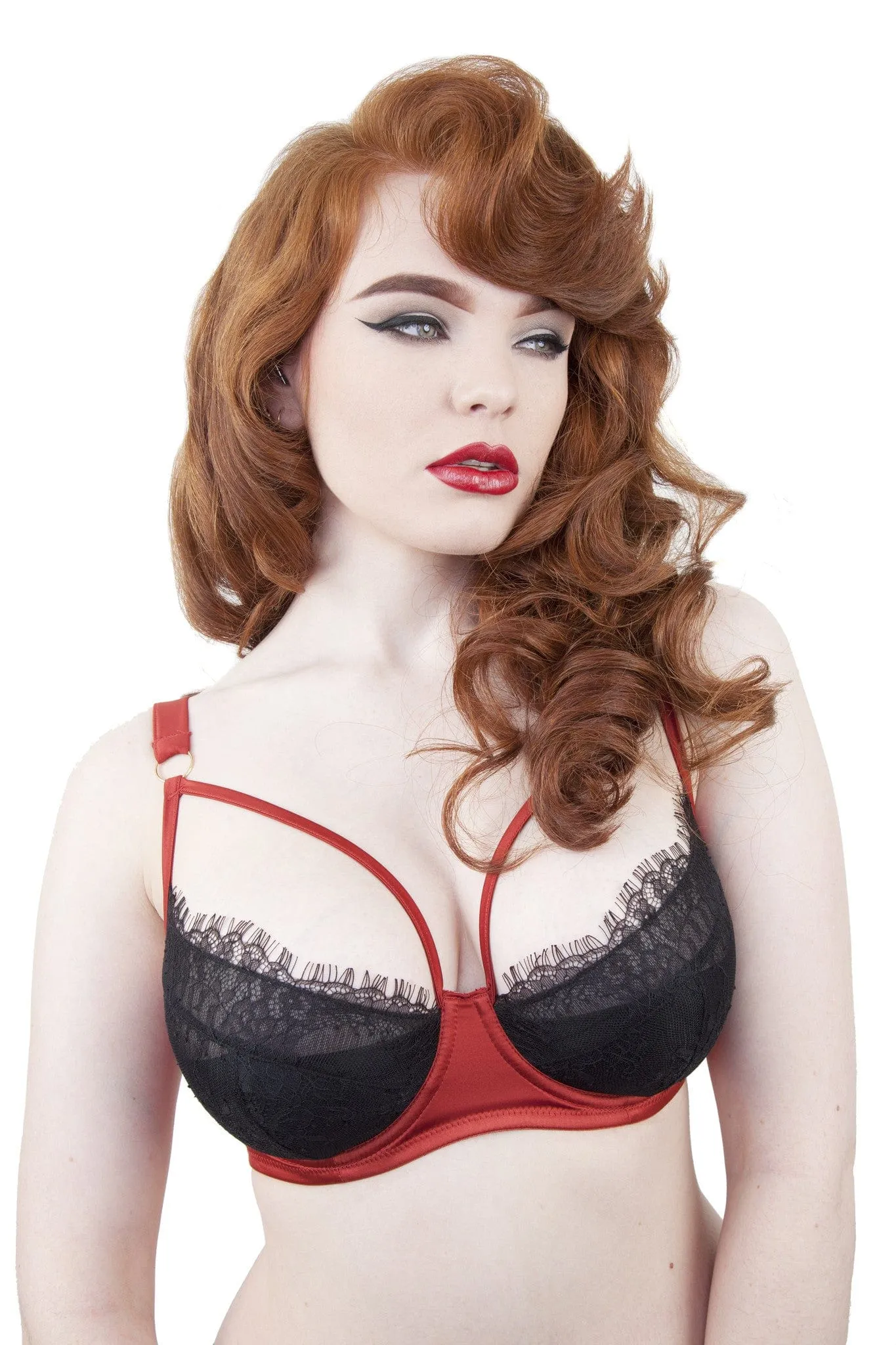 Tamara Rust and Black Lace Bra DD  Cups